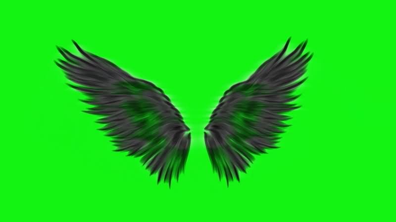 绿幕视频素材恶魔翅膀